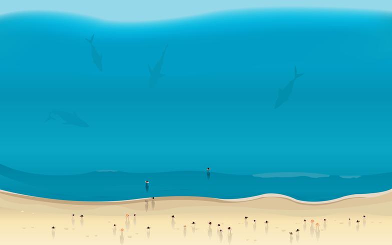 Sharks Time To Lunch vector