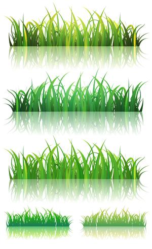 Primavera o verano conjunto de hierba verde vector