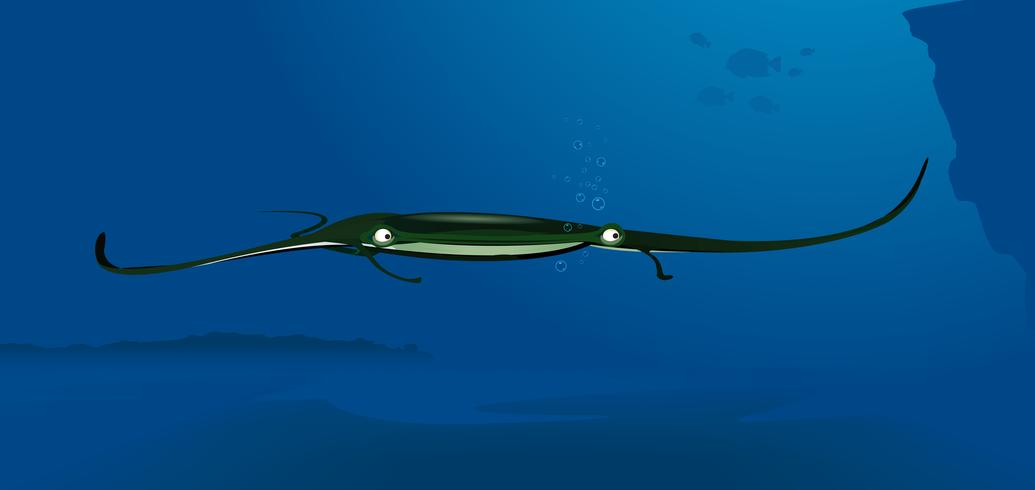 Manta Ray vector