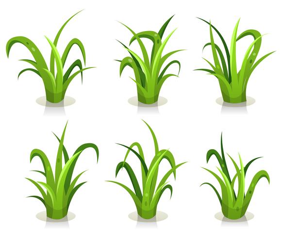 Grass Leaves Set vector