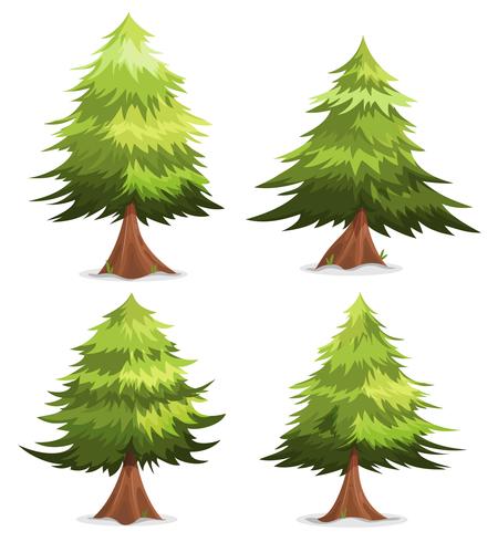 Pine Trees And Firs Set vector