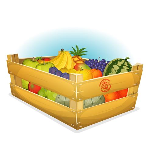 Basket Of Healthy Organic Fruits vector