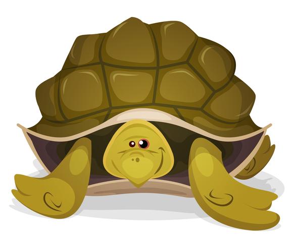 Lindo personaje de tortuga vector