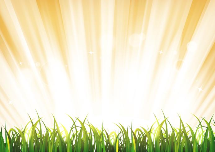 Summer Sunshine Background With Grass Leaves vector