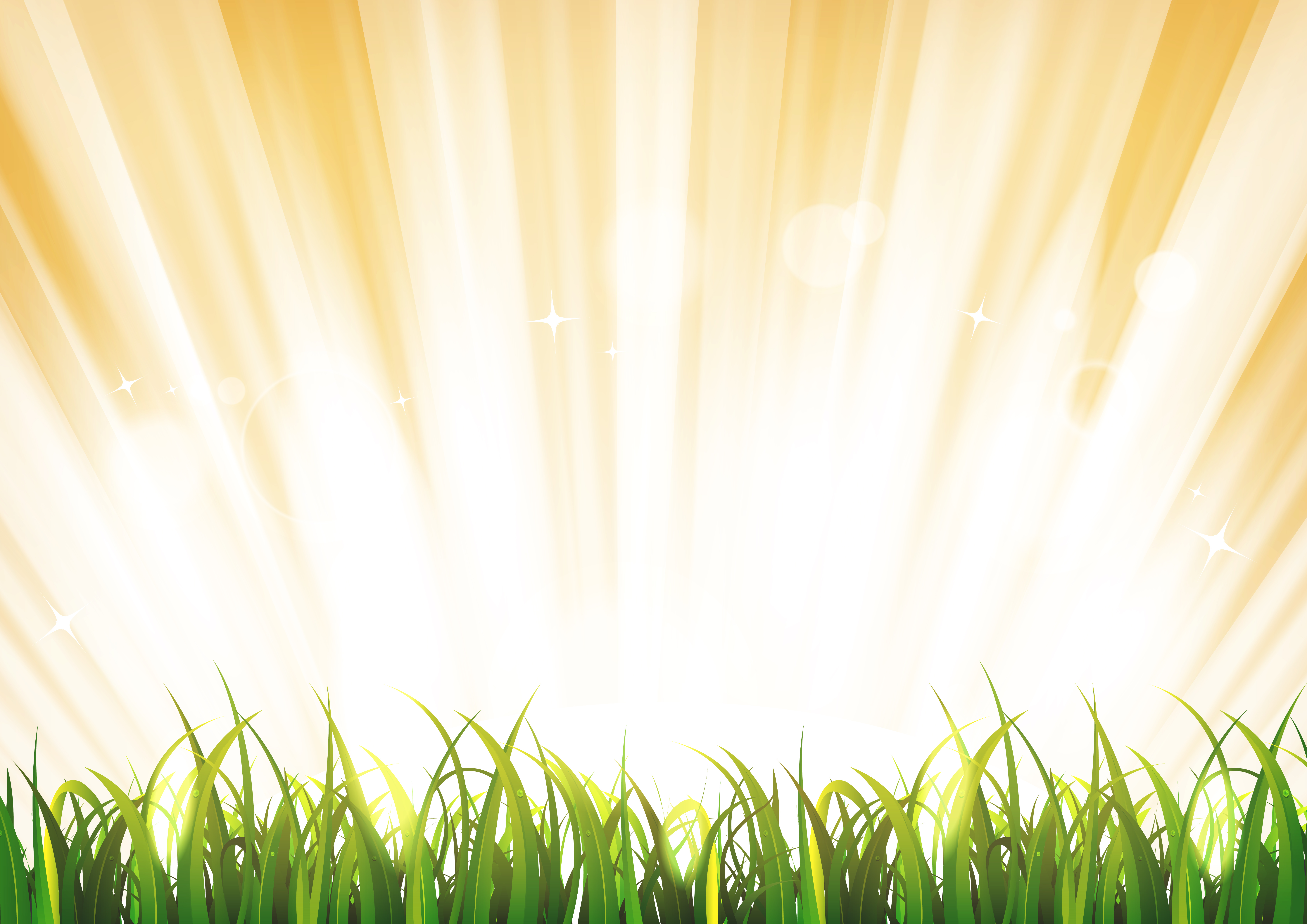 Summer Sunshine Background With Grass Leaves 265101 Vector Art at Vecteezy