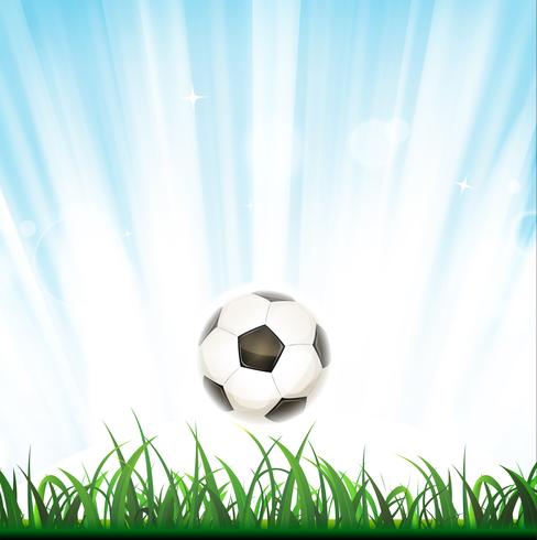 Soccer Background vector