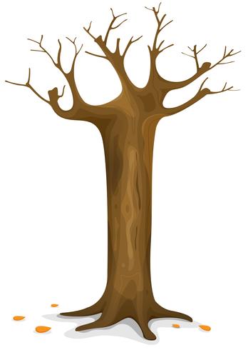 Autumn Tree vector
