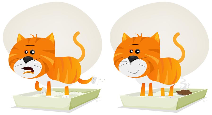 Cat Litter, Before And After vector