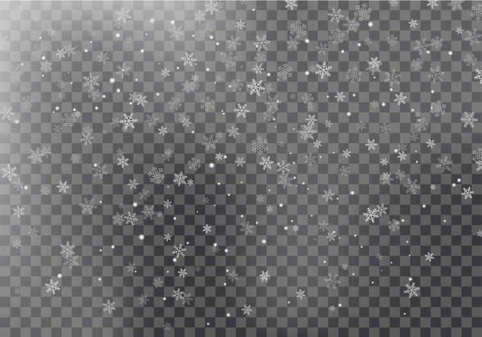 Vector de la nieve que cae aislado en fondo gris. Efecto de decoración transparente copo de nieve. Patrón de copos de nieve de Navidad