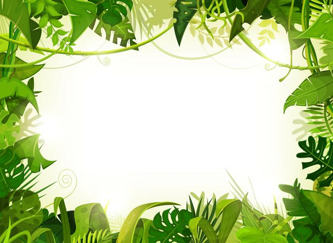 Jungle Tropical Landscape Background vector