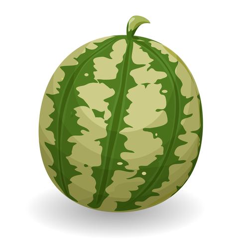 Watermelon vector