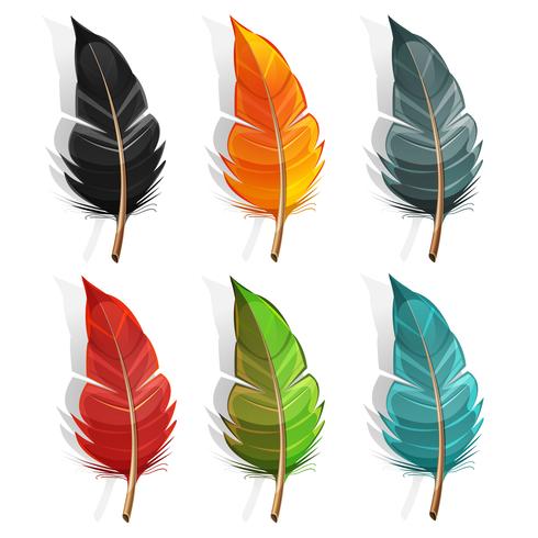 Bird Feather Set vector