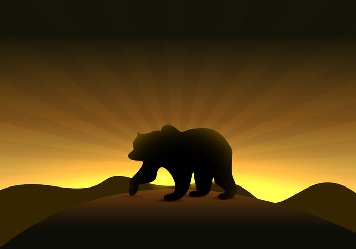 Bear vector