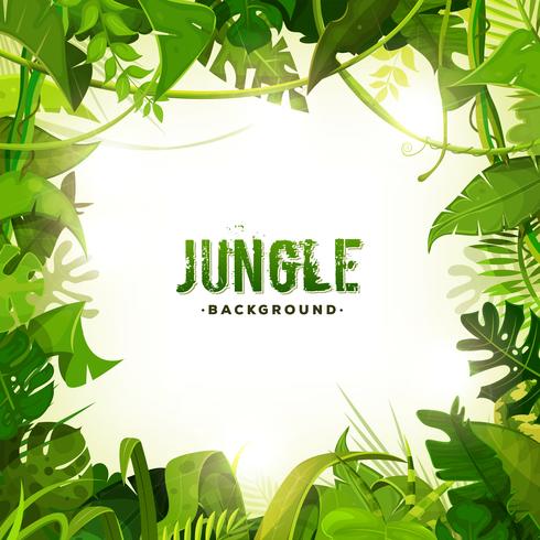 Jungle Tropical Decoration Background vector