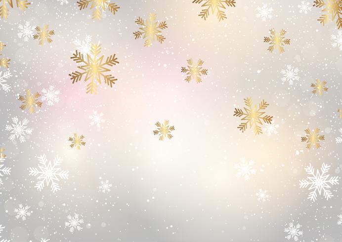 Christmas snowflakes  vector
