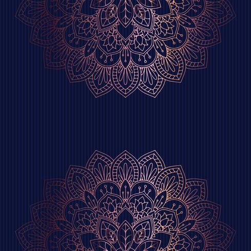 Decorative mandala background  vector