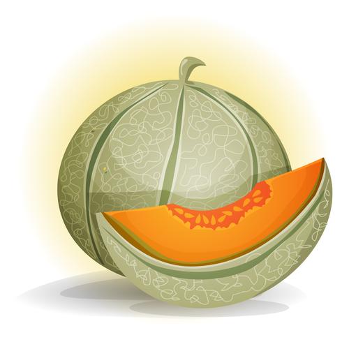 Melón vector