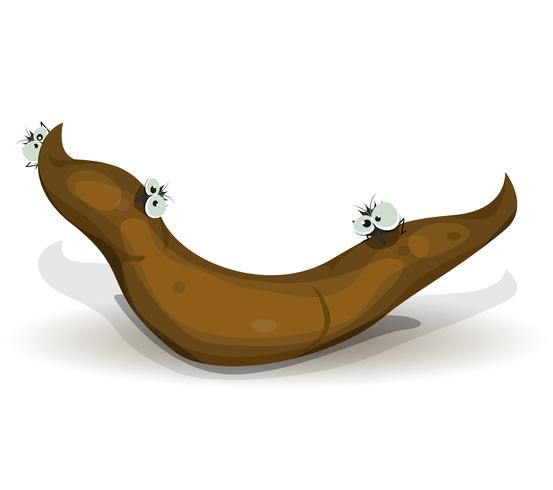 Funny Housefly Over Dog Dung vector