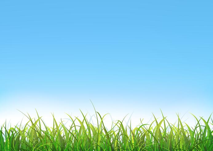 Blue Sky Background With Green Grass Download Free Vectors Clipart Graphics Vector Art