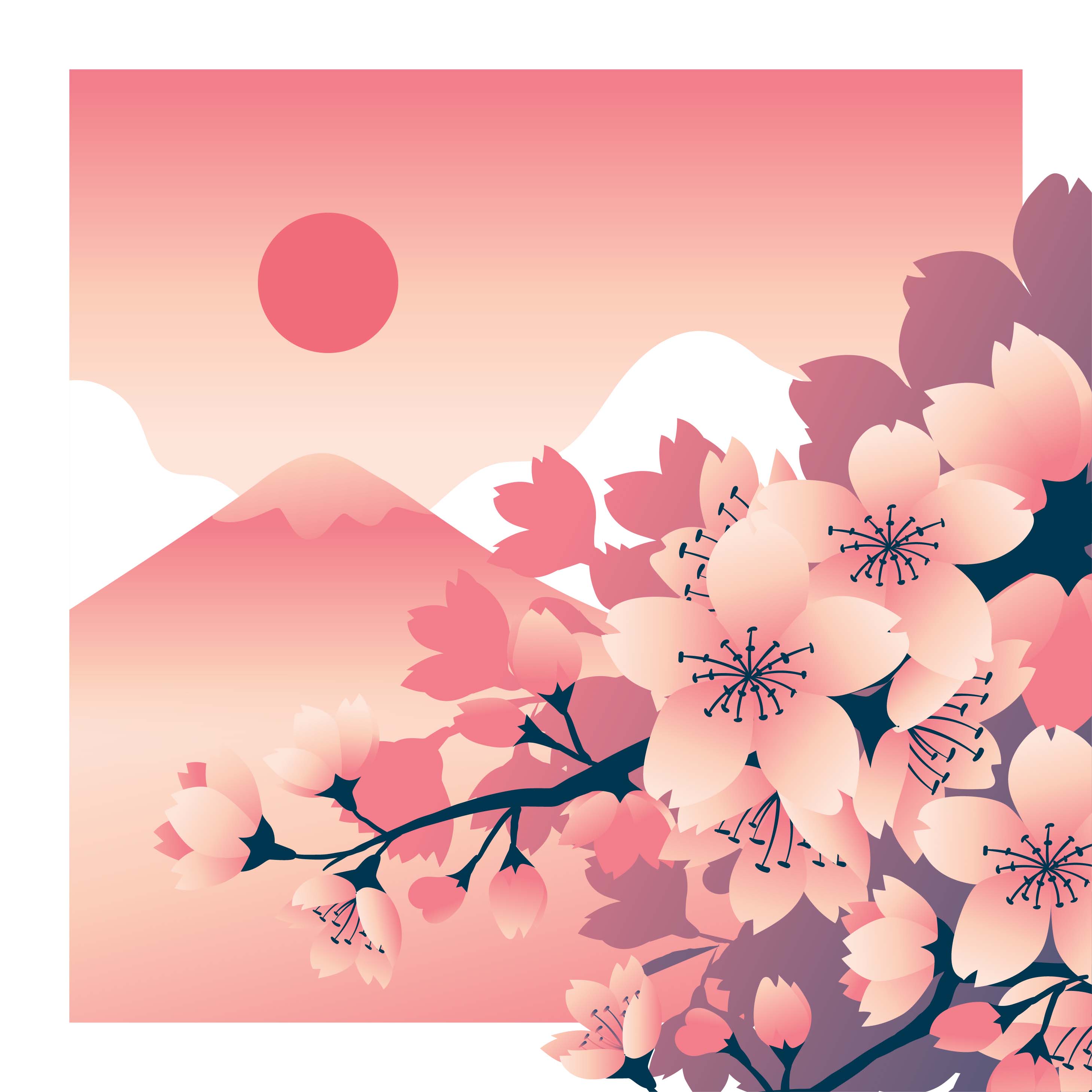 Cherry Blossoms Flower With Mountain Fuji At The Background 268257 ...