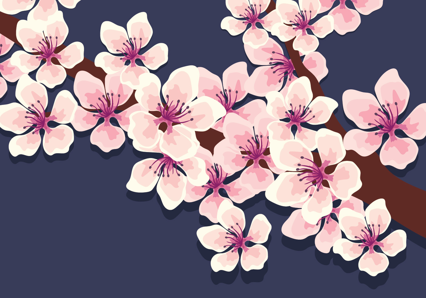 Cherry Blossoms Vector 268609 - Download Free Vectors, Clipart Graphics