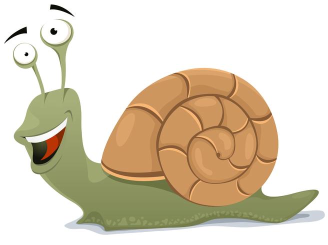 Caracol feliz vector