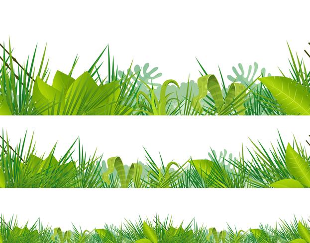 Seamless Jungle And Tropical Vegetation vector