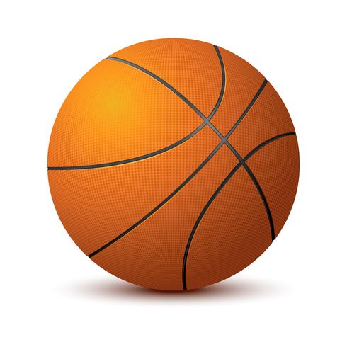 Basketball vector