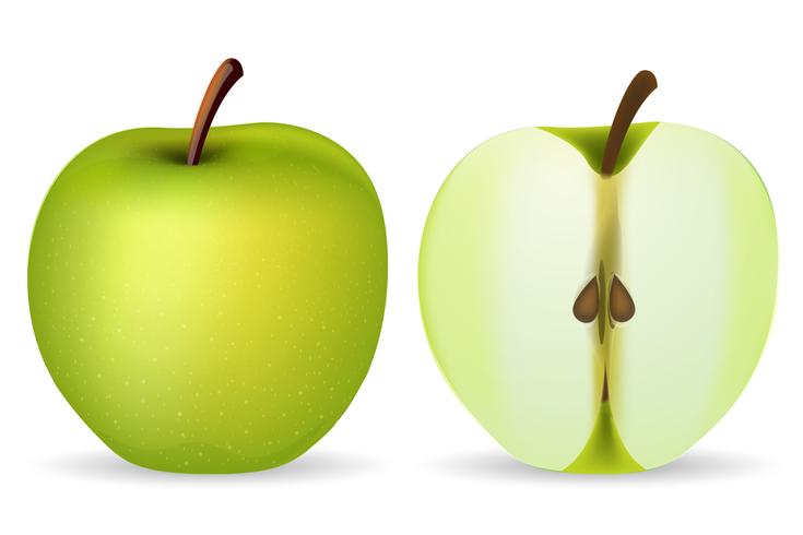 Manzana verde vector