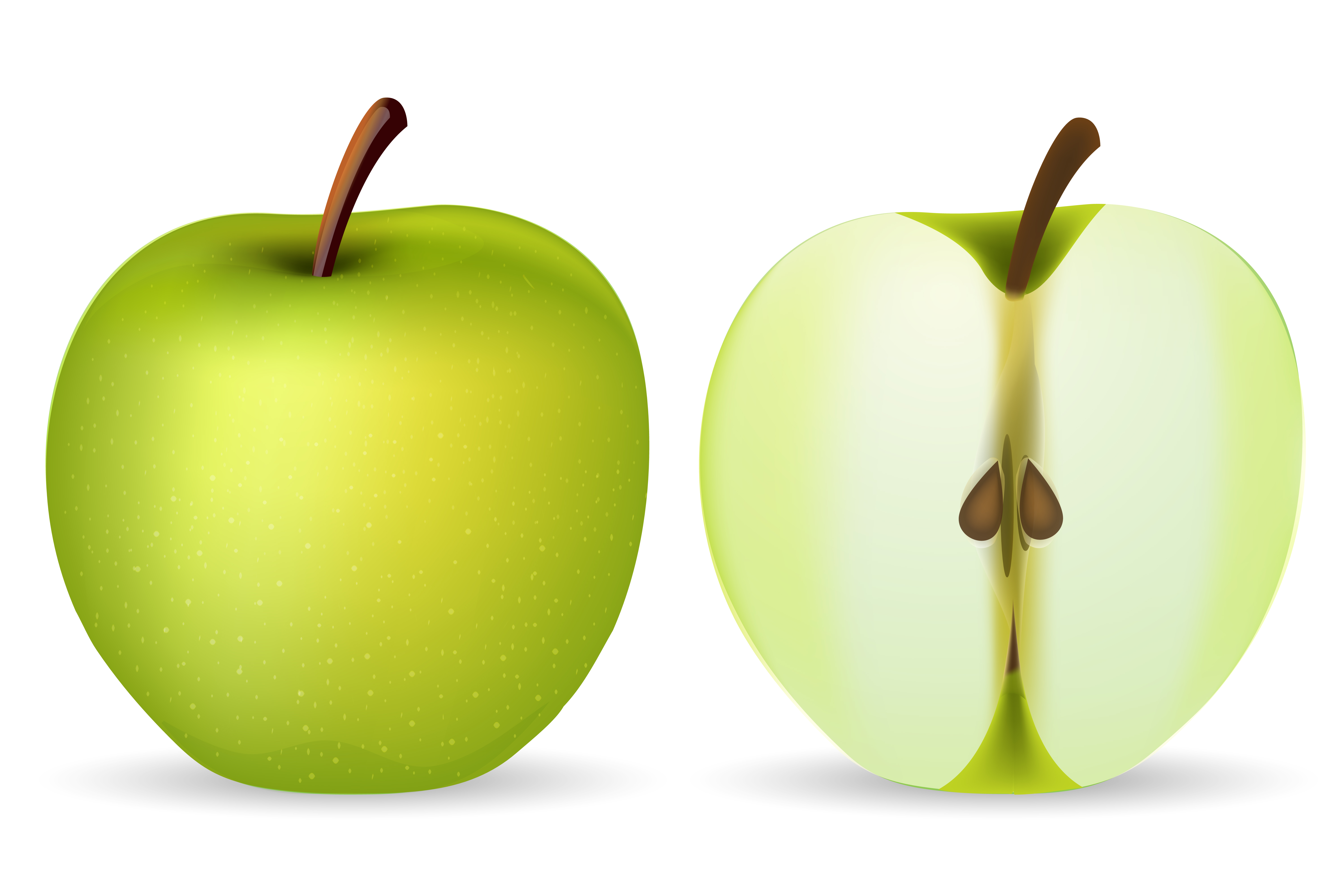 Download Green Apple 269851 Vector Art at Vecteezy