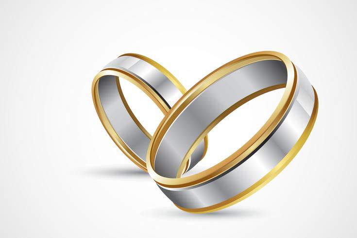 Pair of Rings vector