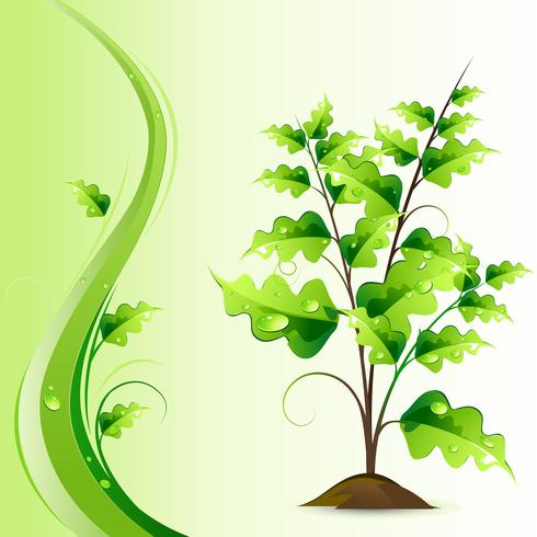 Growing Tree vector