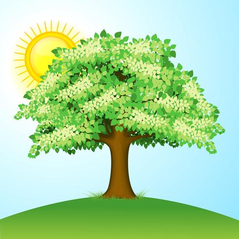 Árbol verde vector