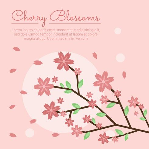 Cherry Blossom Sakura Vector