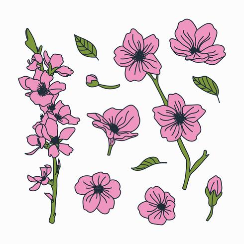 Doodled Botanical Cherry Blossom Flowers vector