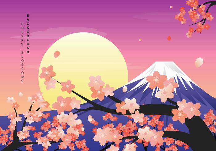 Cherry Blossoms Background Illustration vector