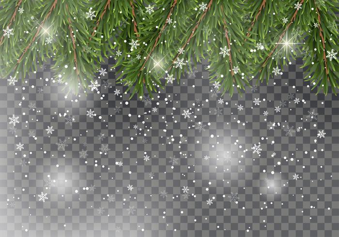 Christmas fir tree branches on transparent background with falling snow. New Year design for cards, banners, flyers, party posters, headers. vector