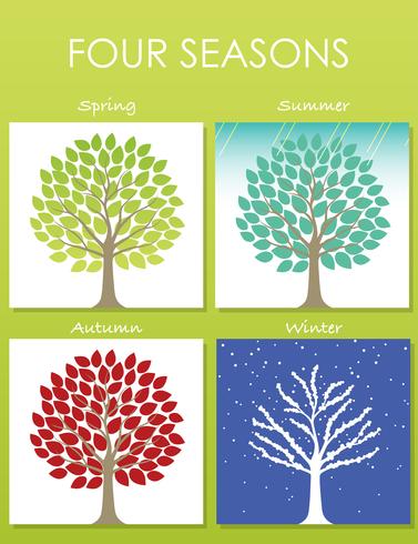 Set of four tree illustrations in four seasons. vector