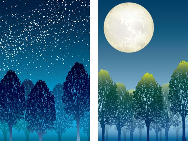 Set of two forest at night vector illustrations.