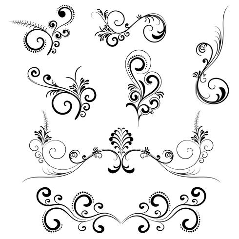 Floral Swirls vector