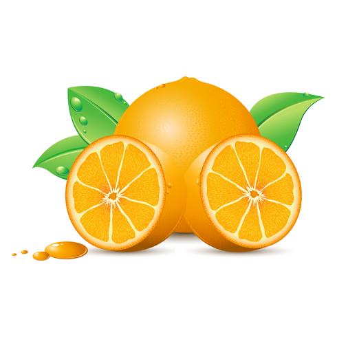 Naranja fresca vector