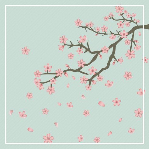 Flat Cherry Blossom Background Vector Illustration