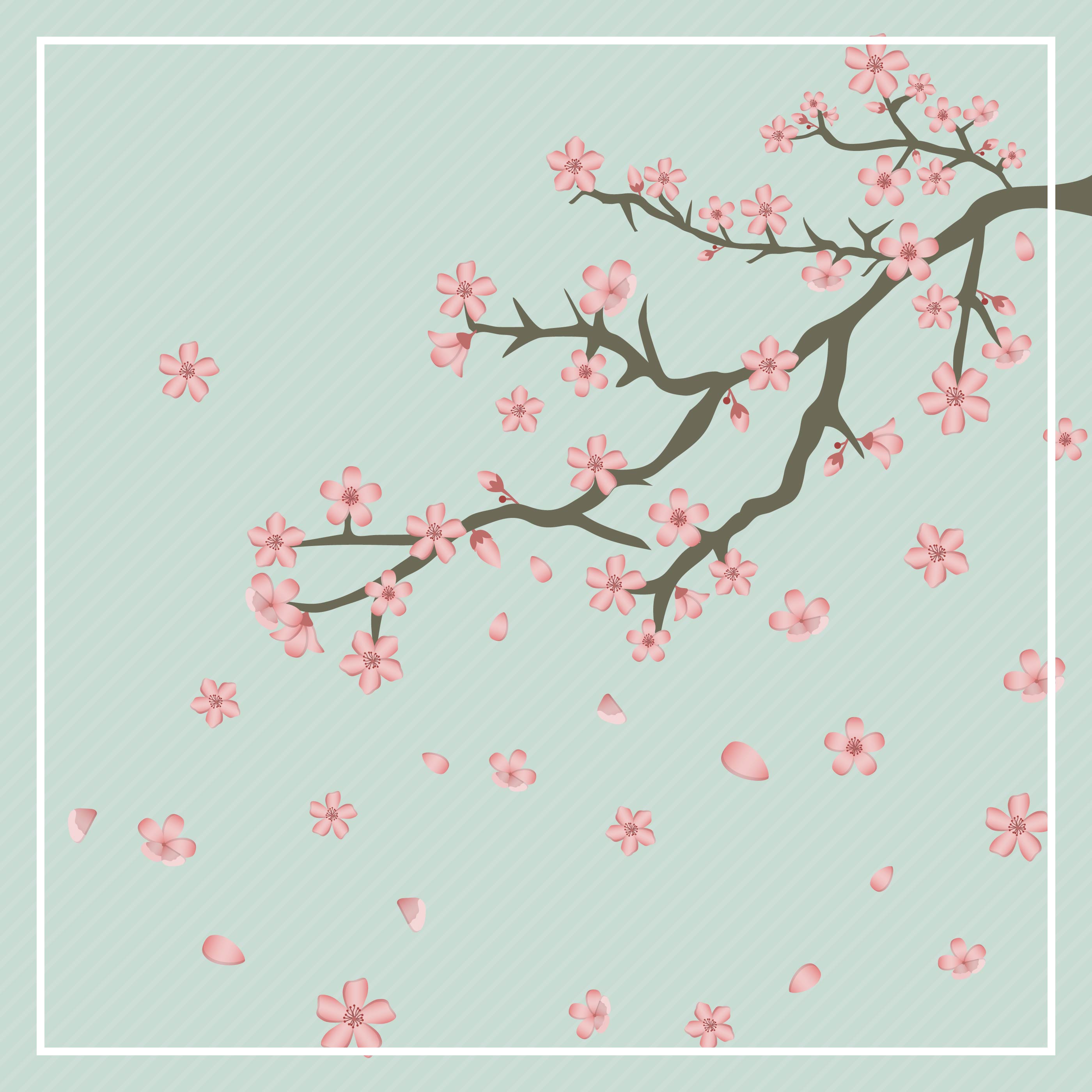 櫻花圖案