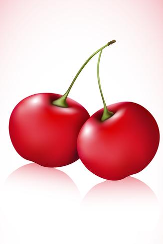 Cherry vector