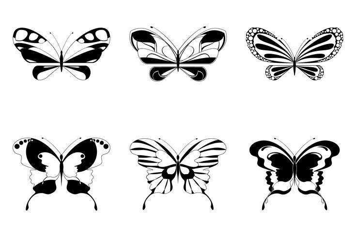 Conjunto de mariposa vector