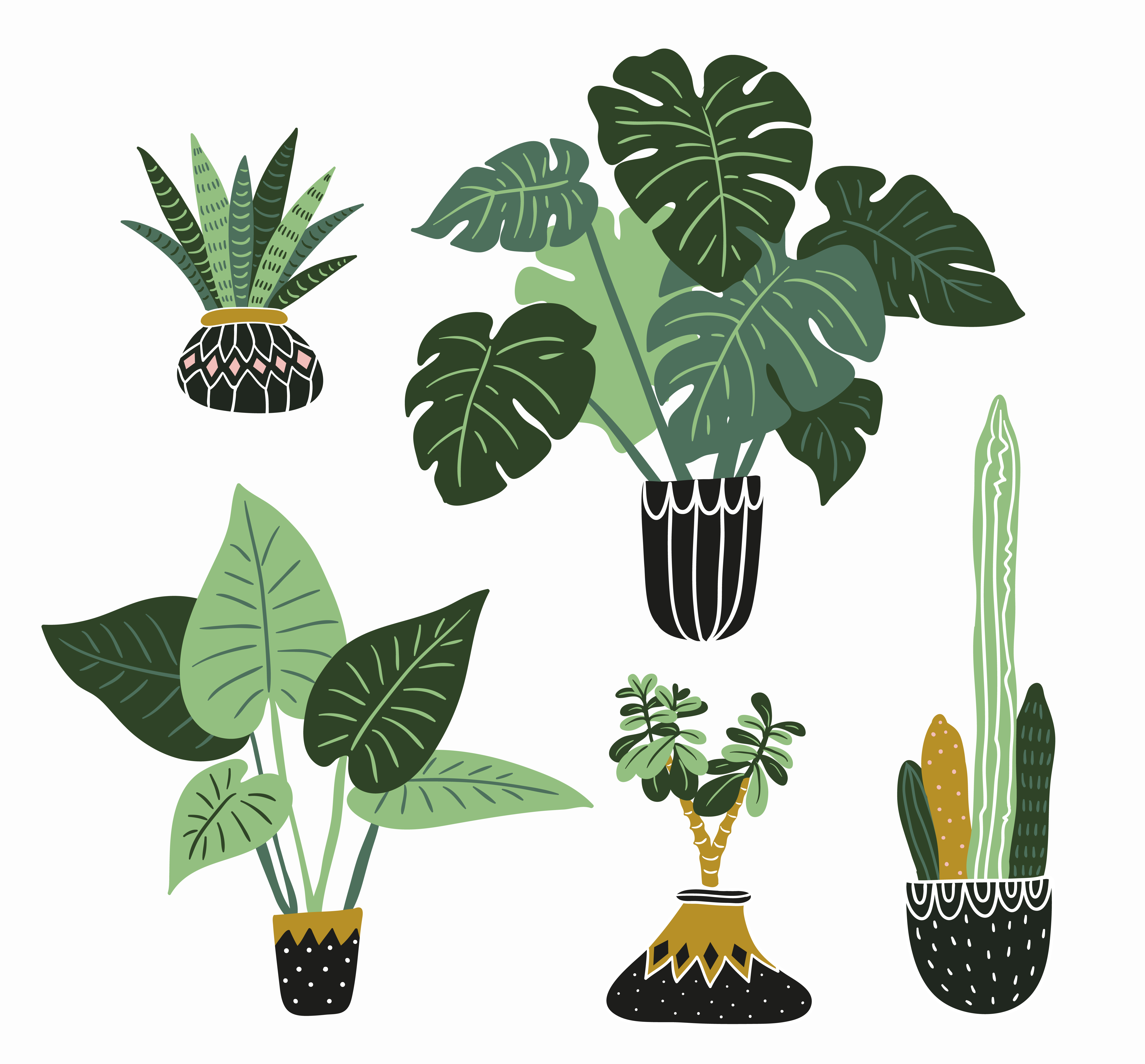 Hand drawn vector tropical house plants. 272687 Vector Art at Vecteezy