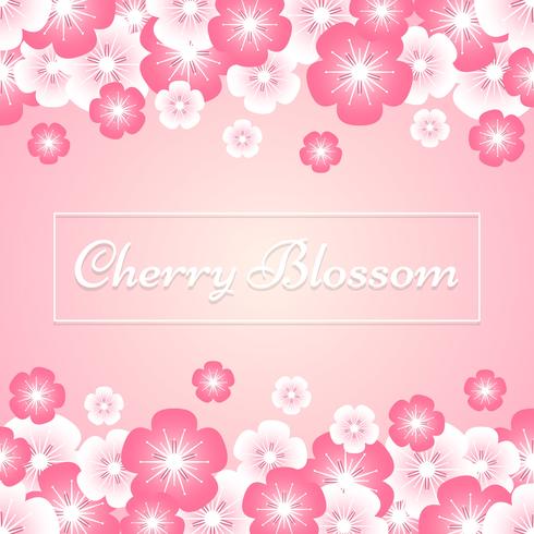 Cherry Blossom Spring Sakura Flowers On Pink Background vector