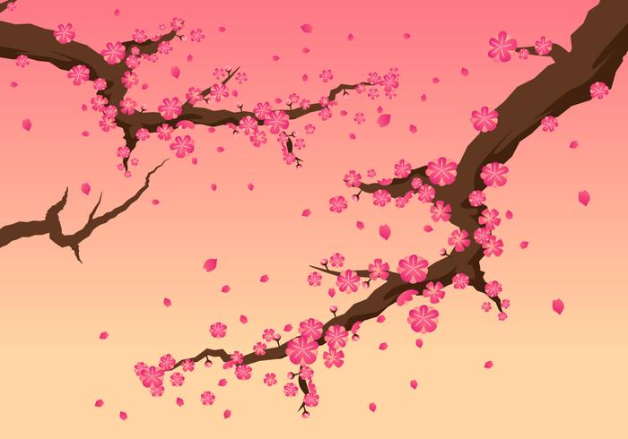 Beautiful Cherry Blossom Vectors