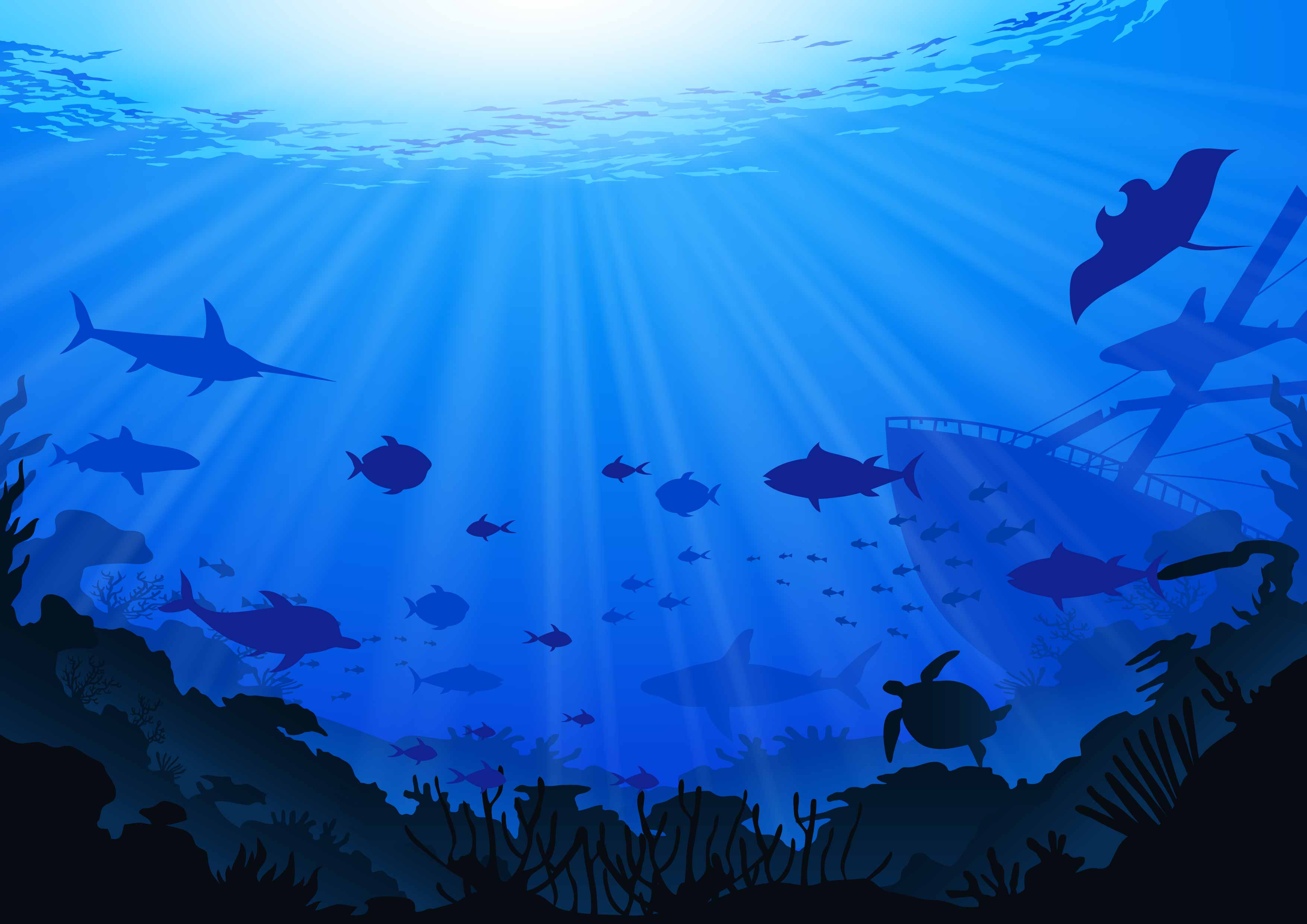 presentation ocean background