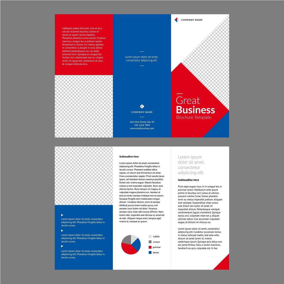 Professional Brochure Template Blue Red vector